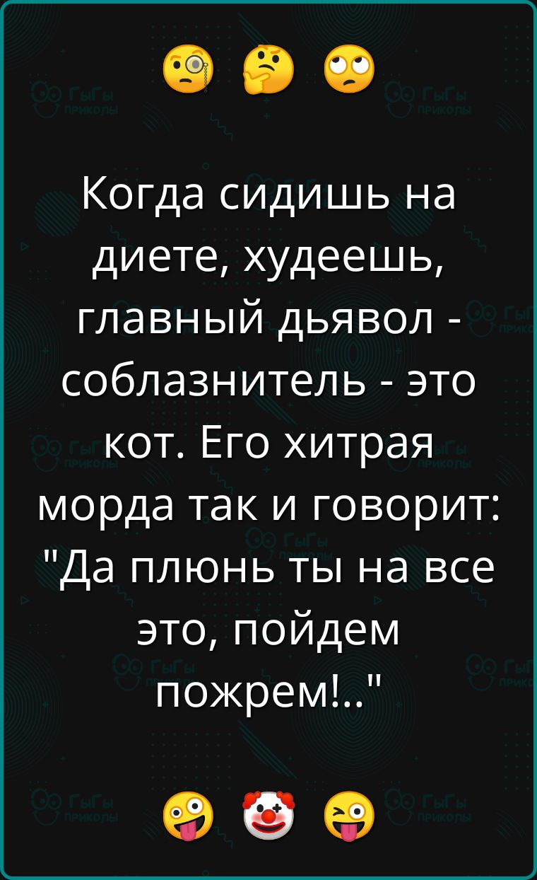 Когда сидишь на диете худеешь главный дьявол соблазнитель это кот Его хитрая морда так и говорит Да плюнь ты на все это пойдем пожрем о о