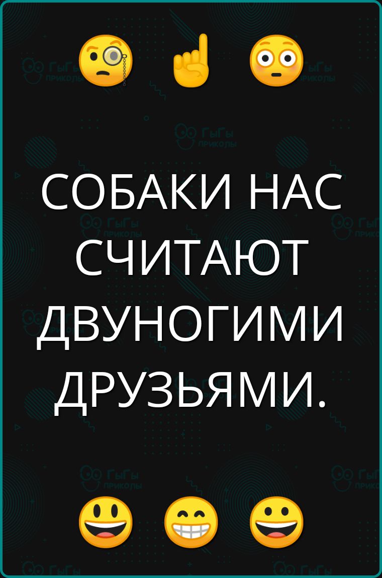 СОБАКИ НАС СЧИТАЮТ ДВУНОГИМИ ДРУЗЬЯМИ оее