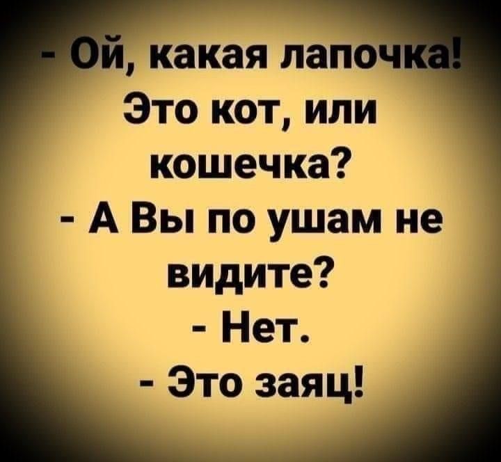 Ой какая лапоч Это кот или кошечка АВы по ушам не видите Нет Это заяц