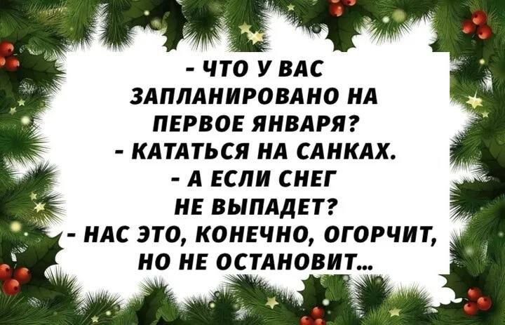 ЧТО У ВАС ЗАПЛАНИРОВАНО НА ПЕРВОЕ ЯНВАРЯ КАТАТЬСЯ НА САНКАХ А ЕСЛИ СНЕГ НЕ ВЫПАДЕТ НАС ЭТО КОНЕЧНО ОГОРЧИТ НО НЕ ОСТАНОВИТ