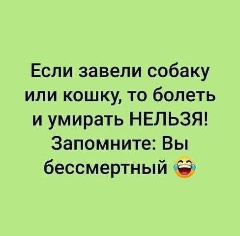 Если завели собаку или кошку то болеть и умирать НЕЛЬЗЯ Запомните Вы бессмертный