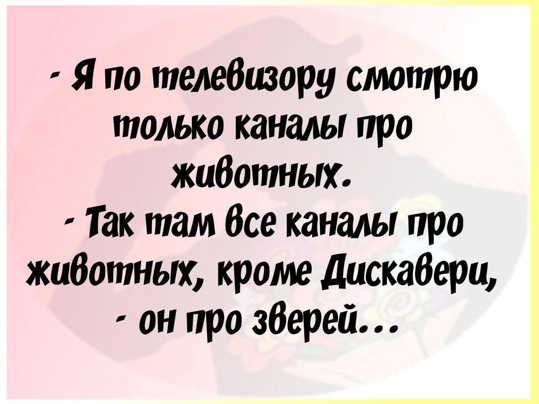 Я по телевизору смотрю только каналы про животных Так там все каналы про животных кроме Дискавери он про зверей