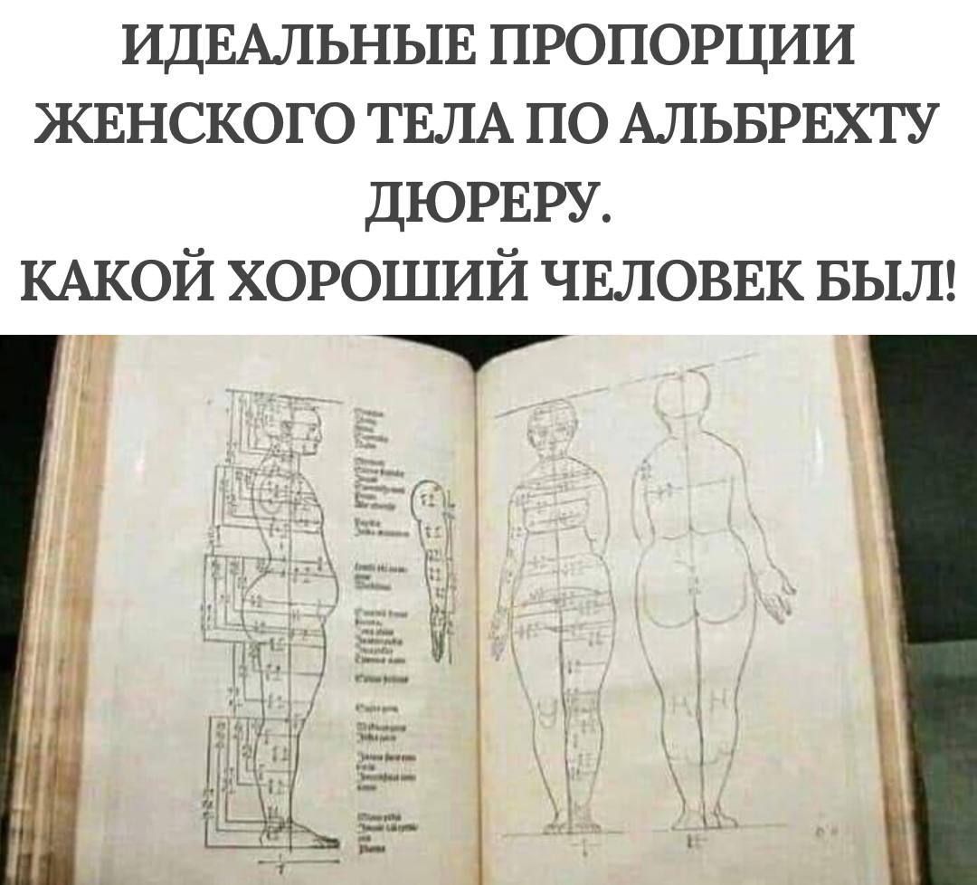 ИДЕАЛЬНЫЕ ПРОПОРЦИИ ЖЕНСКОГО ТЕЛА ПО АЛЬБРЕХТУ ДЮРЕРУ КАКОЙ ХОРОШИЙ ЧЕЛОВЕК БЫЛ