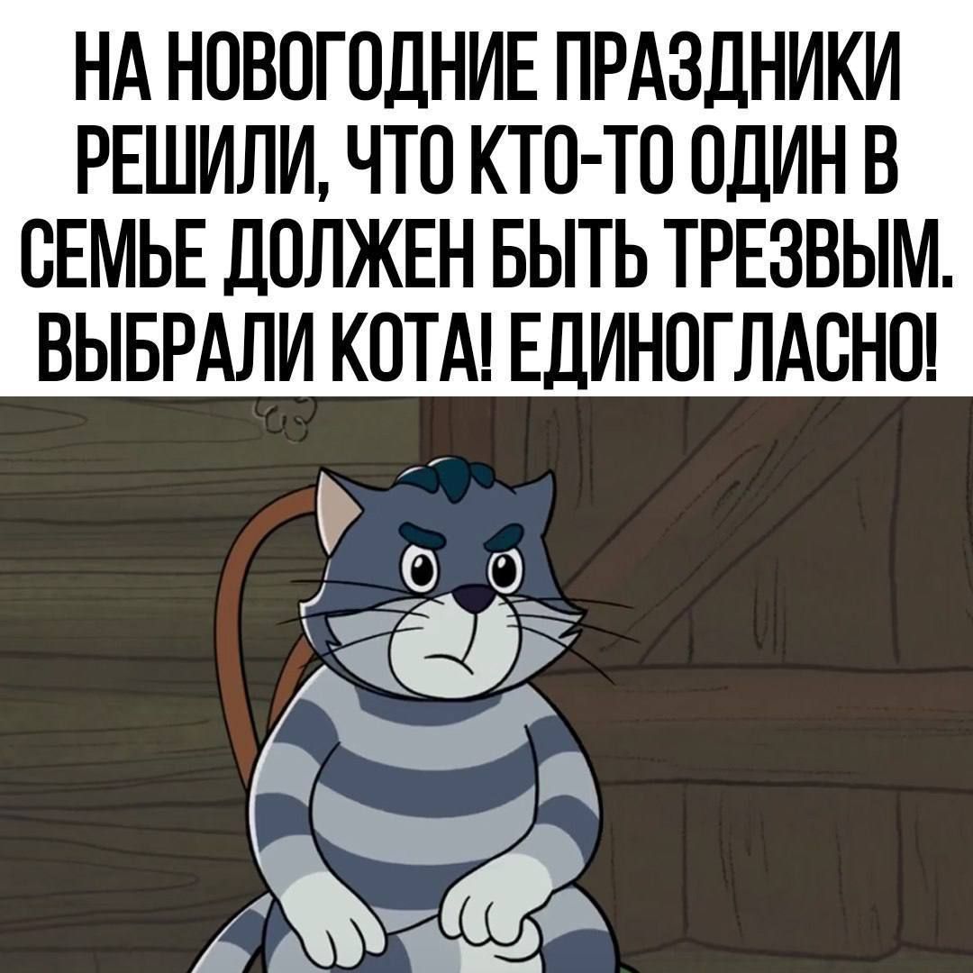 НА НОВОГОДНИЕ ПРАЗДНИКИ РЕШИЛИ ЧТО КТО ТО ОДИН В СЕМЬЕ ДОЛЖЕН БЫТЬ ТРЕЗВЫМ ВЫБРАЛИ КОТА ЕДИНОГЛАСНО МО аь 6 Ма 0 оь