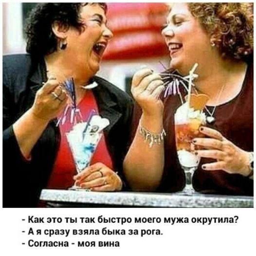 Как это ты так быстро моего мужа окрутила Аясразу взяла быка за рога Согласна моя вина