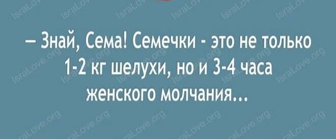 Знай Сема Семечки это не только 1 2 кг шелухи но и 3 4 часа женского молчания