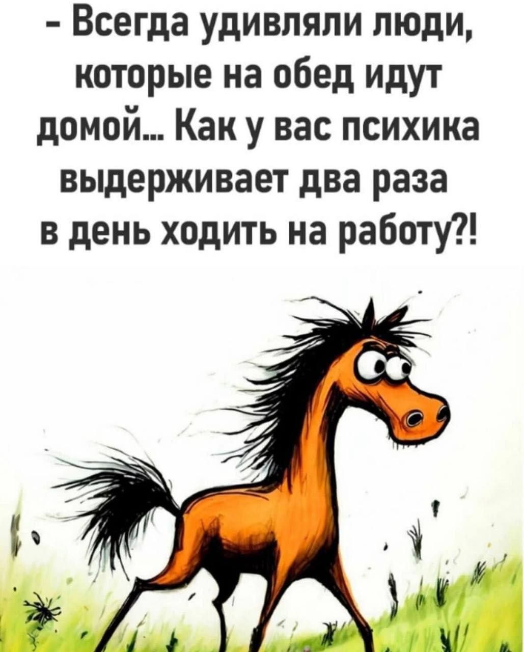 Всегда удивляли люди которые на обед идут домой Как у вас психика выдерживает два раза в день ходить на работу