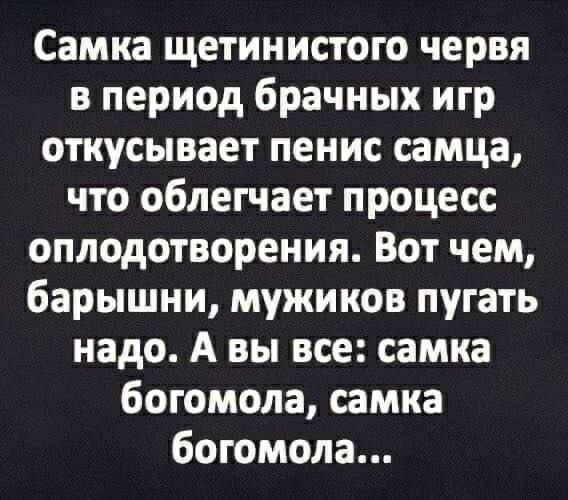 Самка щетинистого червя в период брачных игр откусывает пенис самца что облегчает процесс оплодотворения Вот чем барышни мужиков пугать надо А вы все самка богомола самка богомола