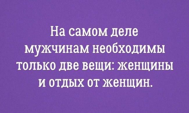 На самом деле мужчинам необходимы только две вещи женщины и отдых от женщин