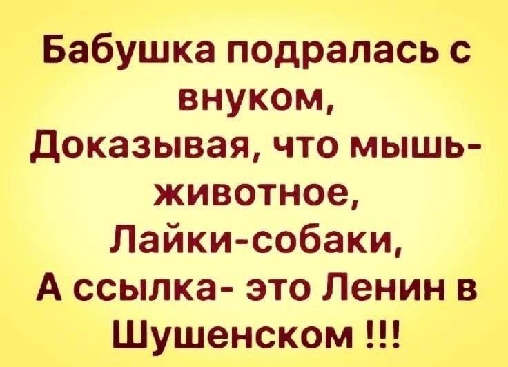Бабушка подралась с внуком, Доказывая, что мышь-животное, Лайки-собаки, А ссылка- это Ленин в Шушенском !!!