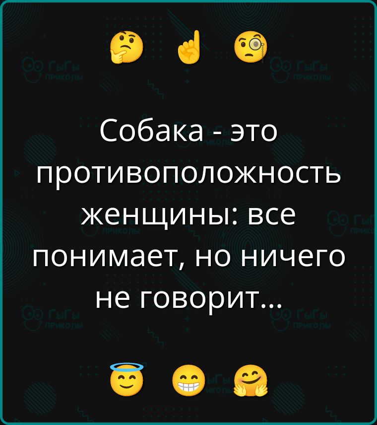 Собака - это противоположность женщины: все понимает, но ничего не говорит...