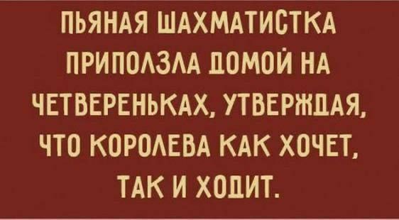 ПЬЯНАЯ ШАХМАТИСТКА ПРИПОЛЗЛА ДОМОЙ НА ЧЕТВЕРЕНЬКАХ, УТВЕРЖДАЯ, ЧТО КОРОЛЕВА КАК ХОЧЕТ, ТАК И ХОДИТ.