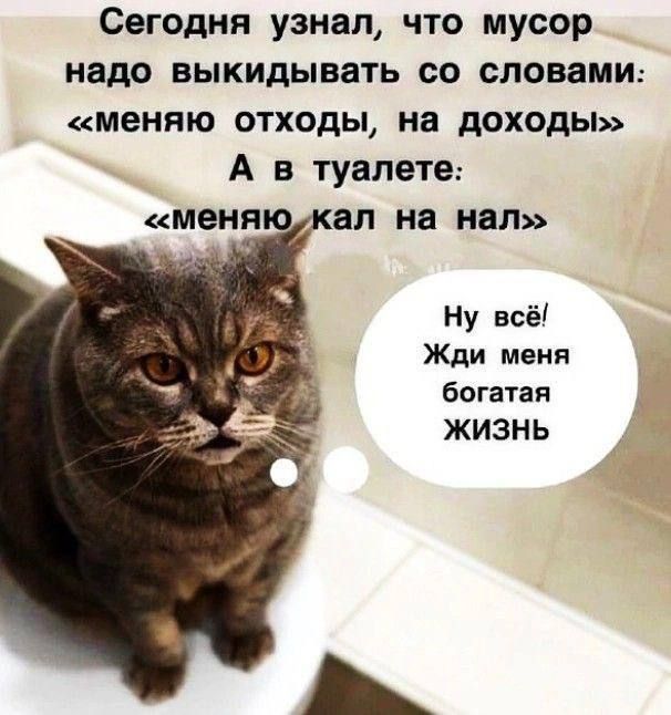 Сегодня узнал, что мусор надо выкидывать со словами: «меняю отходы, на доходы» А в туалете: «меняю кал на нал» Ну всё! Жди меня богатая ЖИЗНЬ