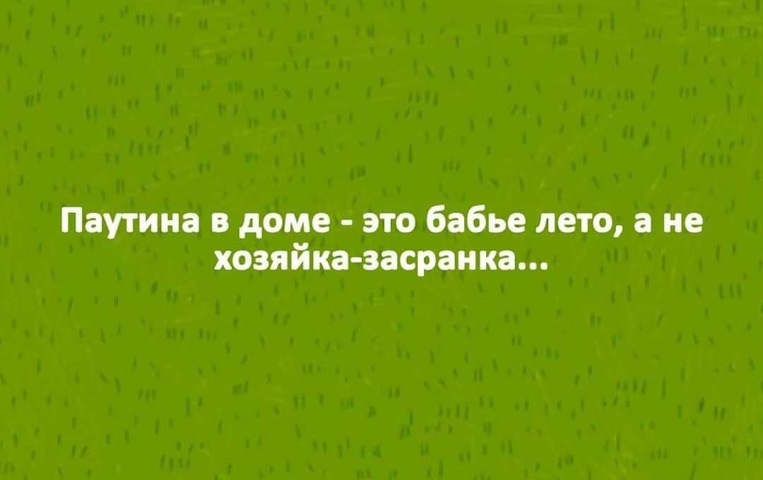 Паутина в доме - это бабье лето, а не хозяйка-засранка...