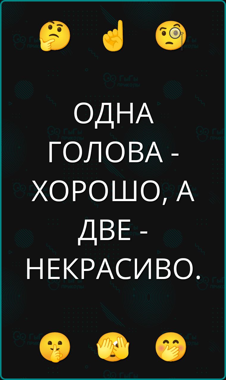 ОДНА ГОЛОВА - ХОРОШО, А ДВЕ - НЕКРАСИВО.