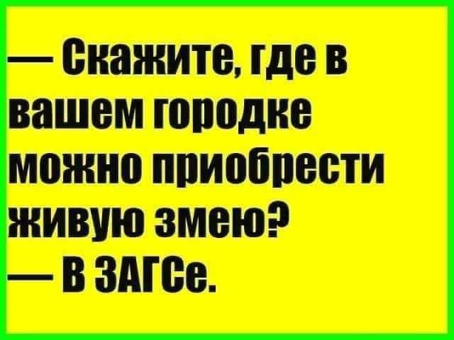 — Скажите, где в вашем городке можно приобрести живую змею? — в ЗАГСе.