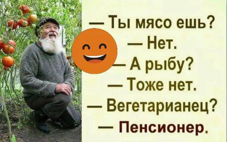 — Ты мясо ешь?  — Нет.  — А рыбу?  — Тоже нет.  — Вегетарианец?  — Пенсионер.
