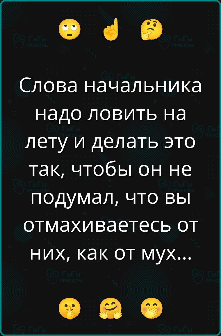 Слова начальника надо ловить на лету и делать это так, чтобы он не подумал, что вы отмахиваетесь от них, как от мух...