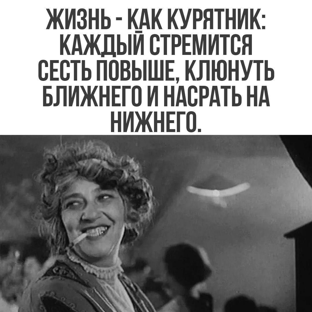 ЖИЗНЬ - КАК КУРЯТНИК: КАЖДЫЙ СТРЕМИТСЯ СЕСТЬ ПОБЫШЕ, КЛЮНУТЬ БЛИЖНЕГО И НАСРАТЬ НА НИЖНЕГО.