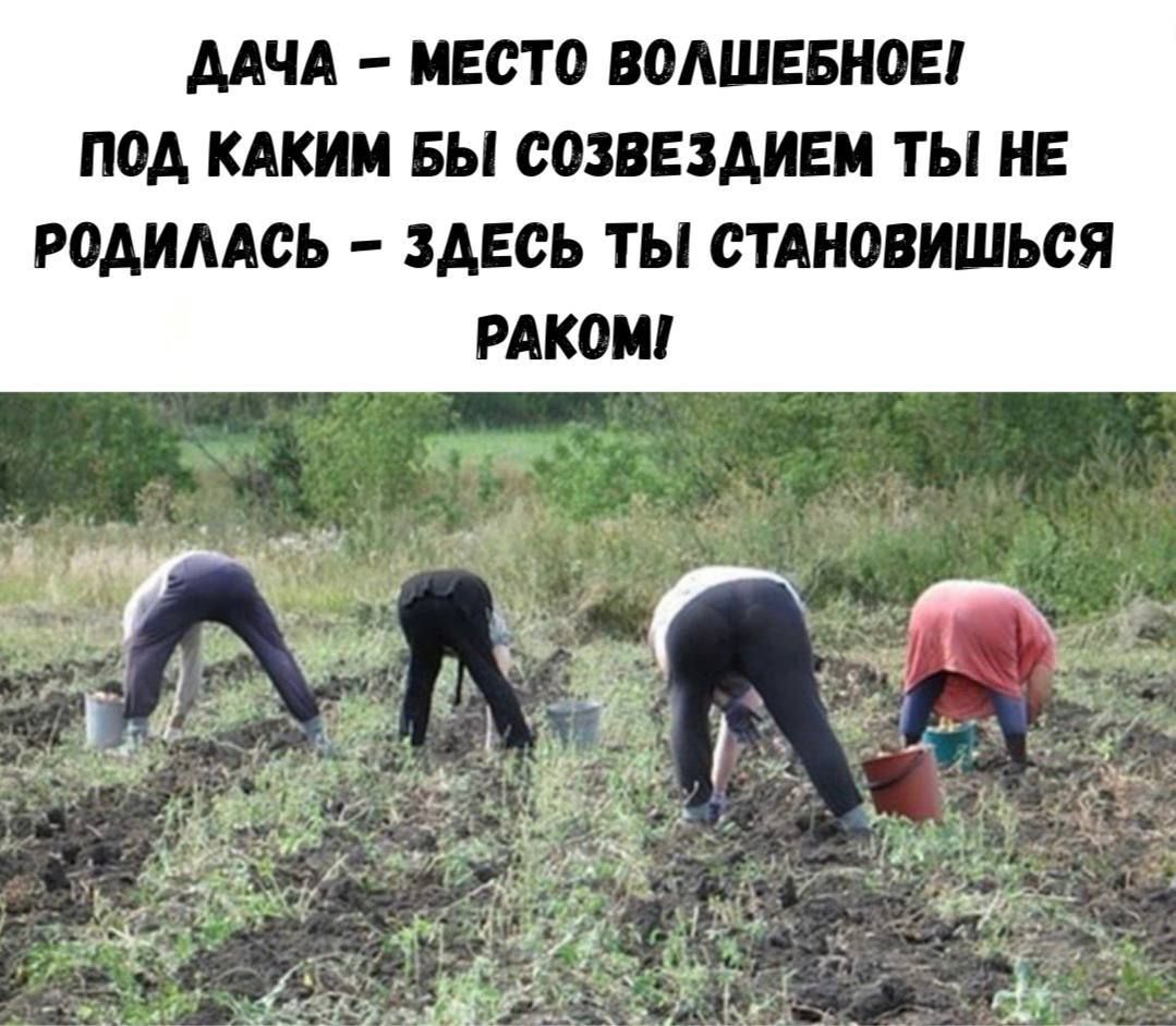 ДАЧА – МЕСТО ВОЛШЕБНОЕ!
ПОД КАКИМ БЫ СОЗВЕЗДИЕМ ТЫ НЕ РОДИЛАСЬ – ЗДЕСЬ ТЫ СТАНОВИШЬСЯ РАКОМ!