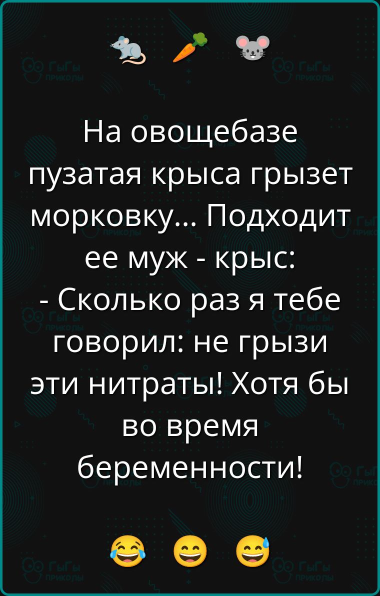 На овощебазе пузатая крыса грызет морковку... Подходит ее муж - крысь: -Сколько раз я тебе говорил: не грызи эти нитраты! Хотя бы во время беременности!