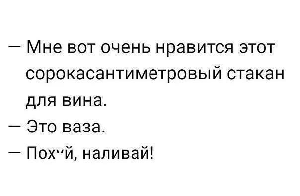 — Мне вот очень нравится этот сорока сантиметровый стакан для вина.
— Это ваза.
— Пох*й, наливай!