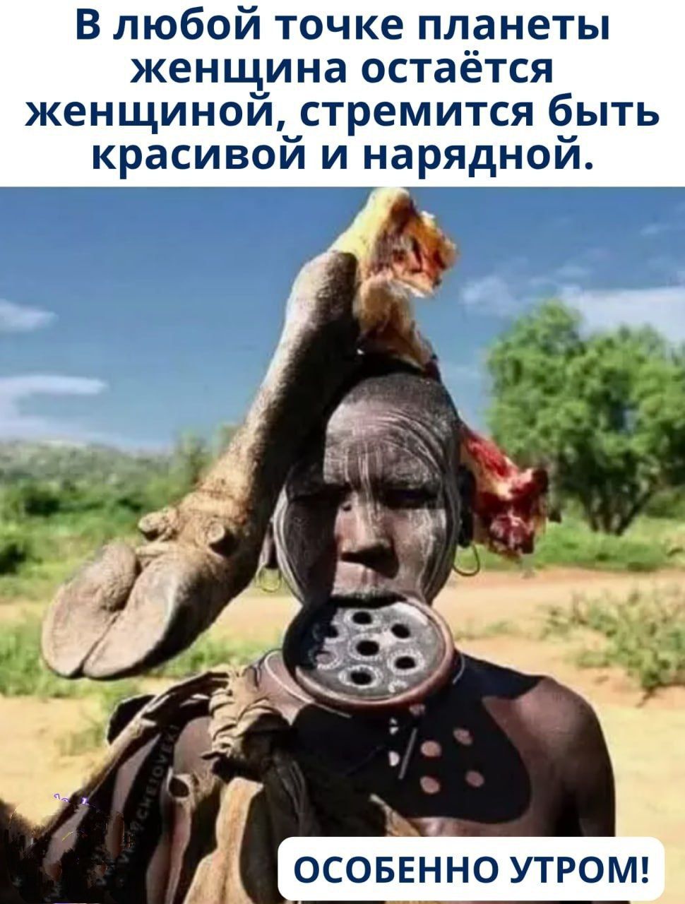 В любой точке планеты женщина остается женщиной, стремится быть красивой и нарядной.
ОСОБЕННО УТРОМ!