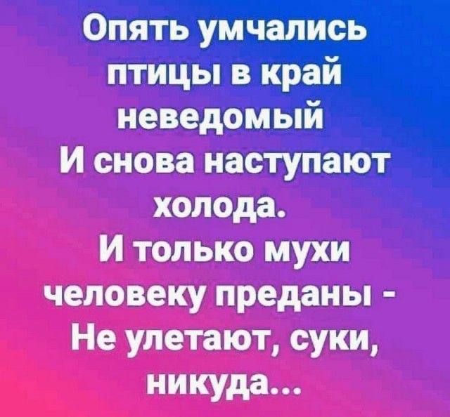 Опять умчались птицы в край неведомый
И снова наступают холода.
И только мухи человеку преданы -
Не улетают, суки, никуда...