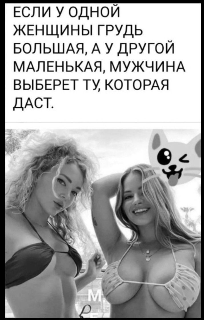 ЕСЛИ У ОДНОЙ ЖЕНЩИНЫ ГРУДЬ БОЛЬШАЯ, А У ДРУГОЙ МАЛЕНЬКАЯ, МУЖЧИНА ВЫБЕРЕТ ТУ, КОТОРАЯ ДАСТ.