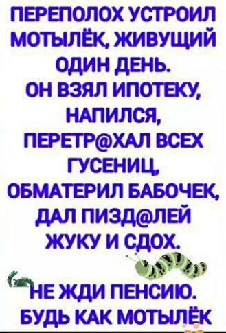 ПЕРЕПОЛОХ УСТРОИЛ МОТЫЛЁК, ЖИВУЩИЙ ОДИН ДЕНЬ. ОН ВЗЯЛ ИПОТЕКУ, НАПИЛСЯ, ПЕРЕТРАХАЛ ВСЕХ ГУСЕНИЦ, ОБМАТЕРИЛ БАБОЧЕК, ДАЛ ПИЗДЛЕЙ ЖУКУ И СДОХ. НЕ ЖДИ ПЕНСИЮ. БУДЬ КАК МОТЫЛЁК