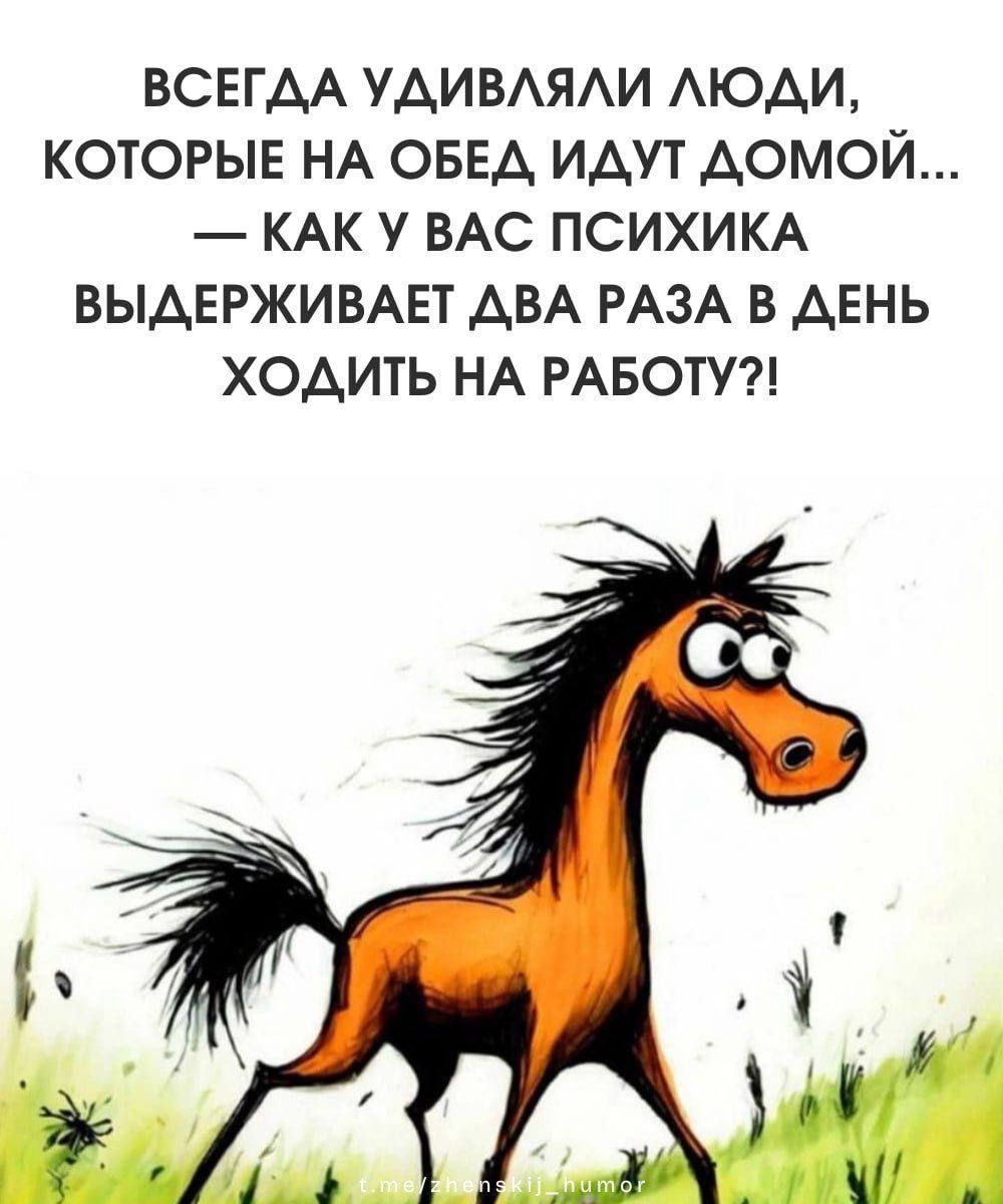 ВСЕГДА УДИВЛЯЛИ ЛЮДИ, КОТОРЫЕ НА ОБЕД ИДУТ ДОМОЙ... — КАК У ВАС ПСИХИКА ВЫДЕРЖИВАЕТ ДВА РАЗА В ДЕНЬ ХОДИТЬ НА РАБОТУ?!