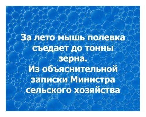За лето мышь полевка съедает до тонны зерна. Из объяснительной записки Министра сельского хозяйства