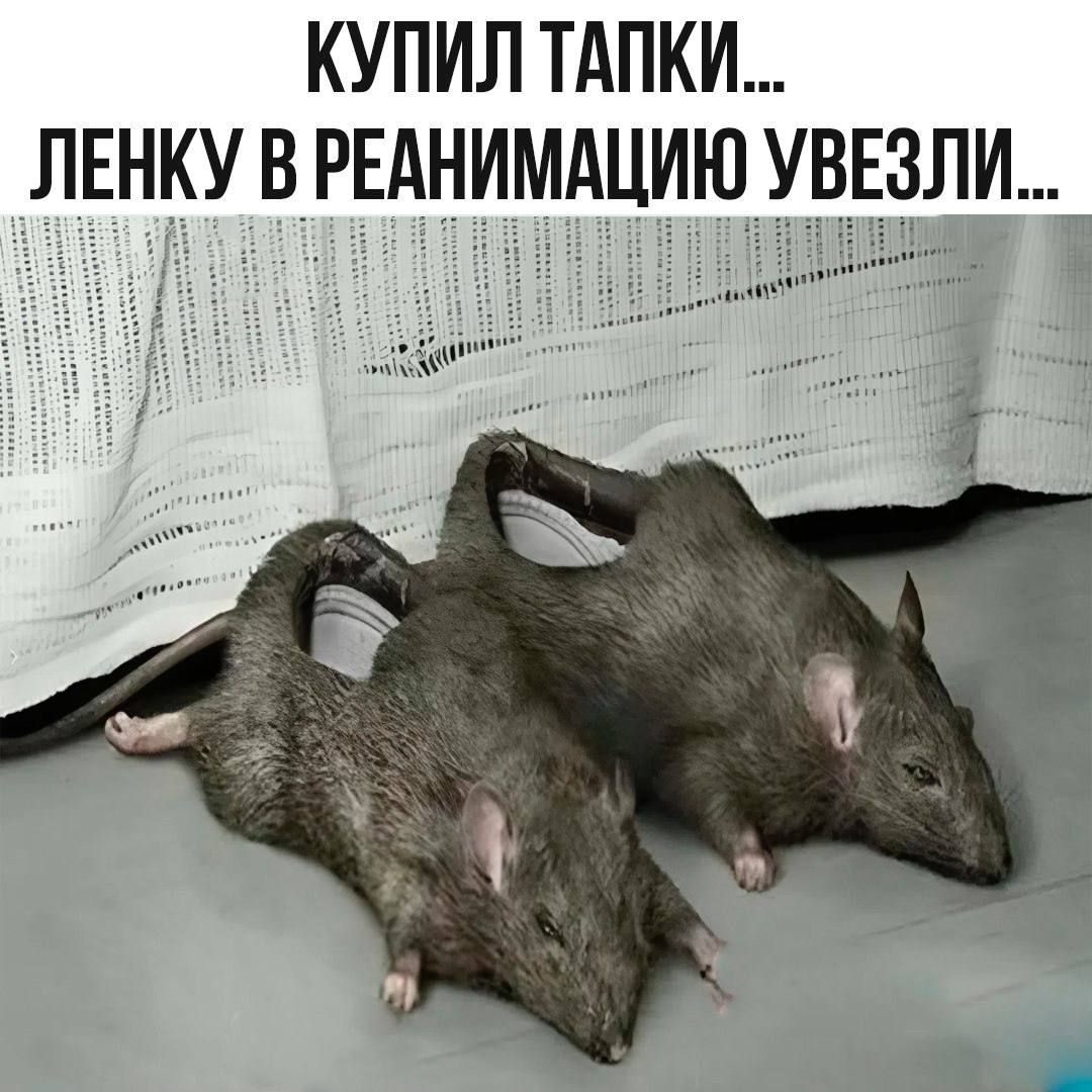 КУПИЛ ТАПКИ... ЛЕНКУ В РЕАНИМАЦИЮ УЕЗЛИ...