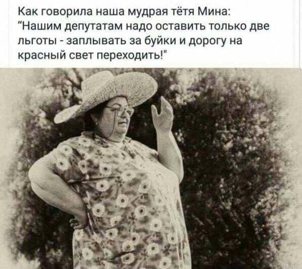 Как говорила наша мудрая тётя Мина: «Нашим депутатам надо оставить только две льготы - заплывать за буйки и дорогу на красный свет переходить!»