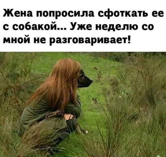 Жена попросила сфоткать её с собакой... Уже неделю со мной не разговаривает!