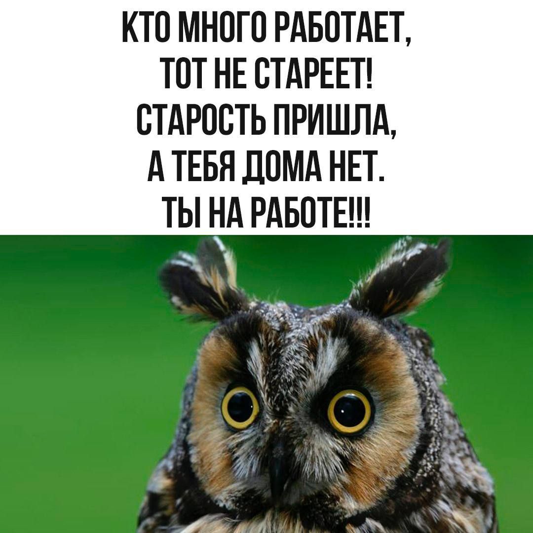 КТО МНОГО РАБОТАЕТ, ТОТ НЕ СТАРЕЕТ! СТАРОСТЬ ПРИШЛА, А ТЕБЯ ДОМА НЕТ. ТЫ НА РАБОТЕ!!!