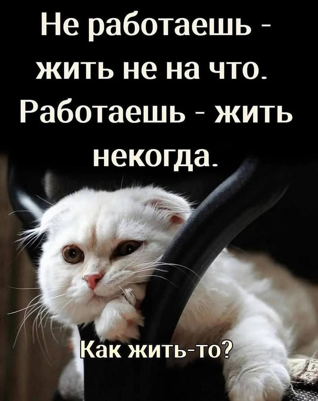 Не работаешь - жить не на что. Работаешь - жить некогда. Как жить-то?