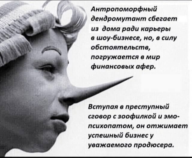 Антропоморфный дендромутант сбегает из дома ради карьеры в шоу-бизнесе, но, в силу обстоятельств, погружается в мир финансовых афер. Вступая в преступный сговор с зоофилкой и эмо-психопатом, он отжигает успешный бизнес у уважаемого продюсера.
