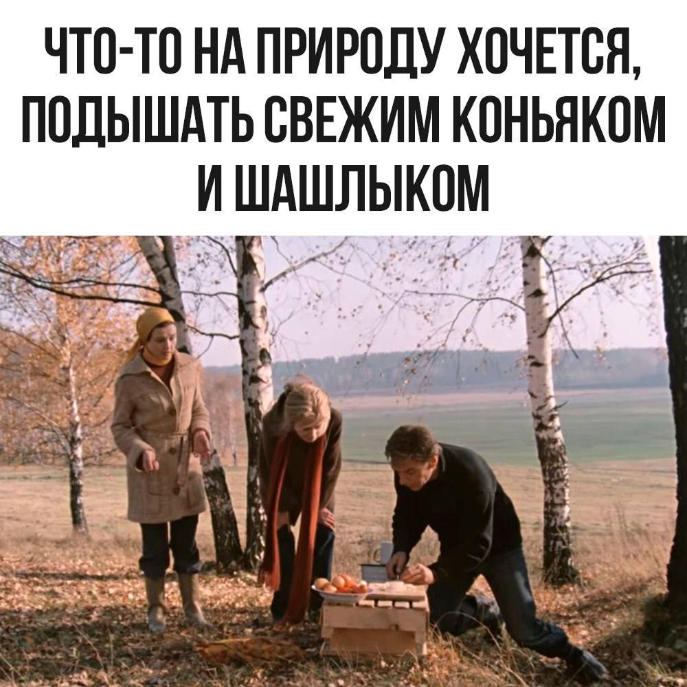 ЧТО-ТО НА ПРИРОДУ ХОЧЕТСЯ, ПОДЫШАТЬ СВЕЖИМ КОНЬЯКОМ И ШАШЛЫКОМ