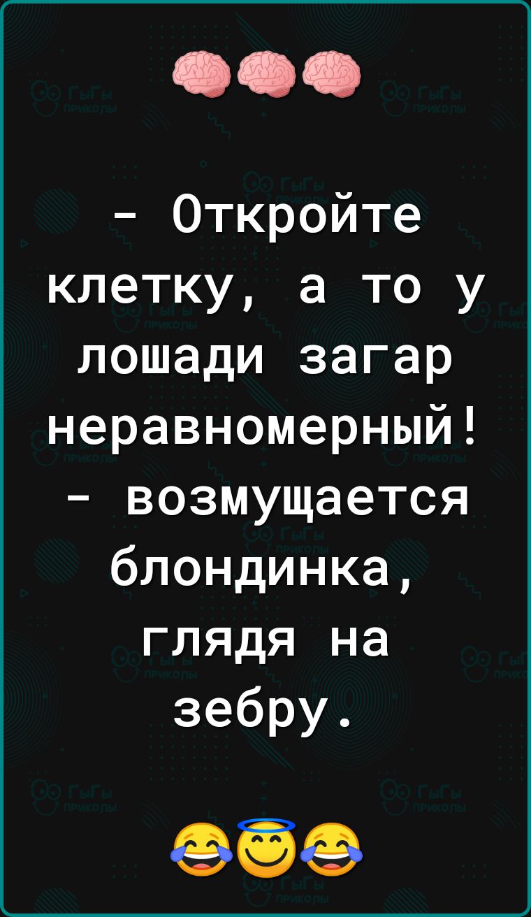 Откройте клетку а то у лошади загар неравномерный возмущается блондинка глядя на зебру