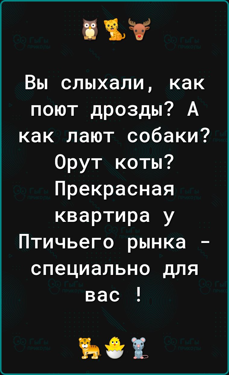 11 Вы слыхали как поют дрозды А как лают собаки Орут коты Прекрасная квартира у Птичьего рынка специально для вас Ъі