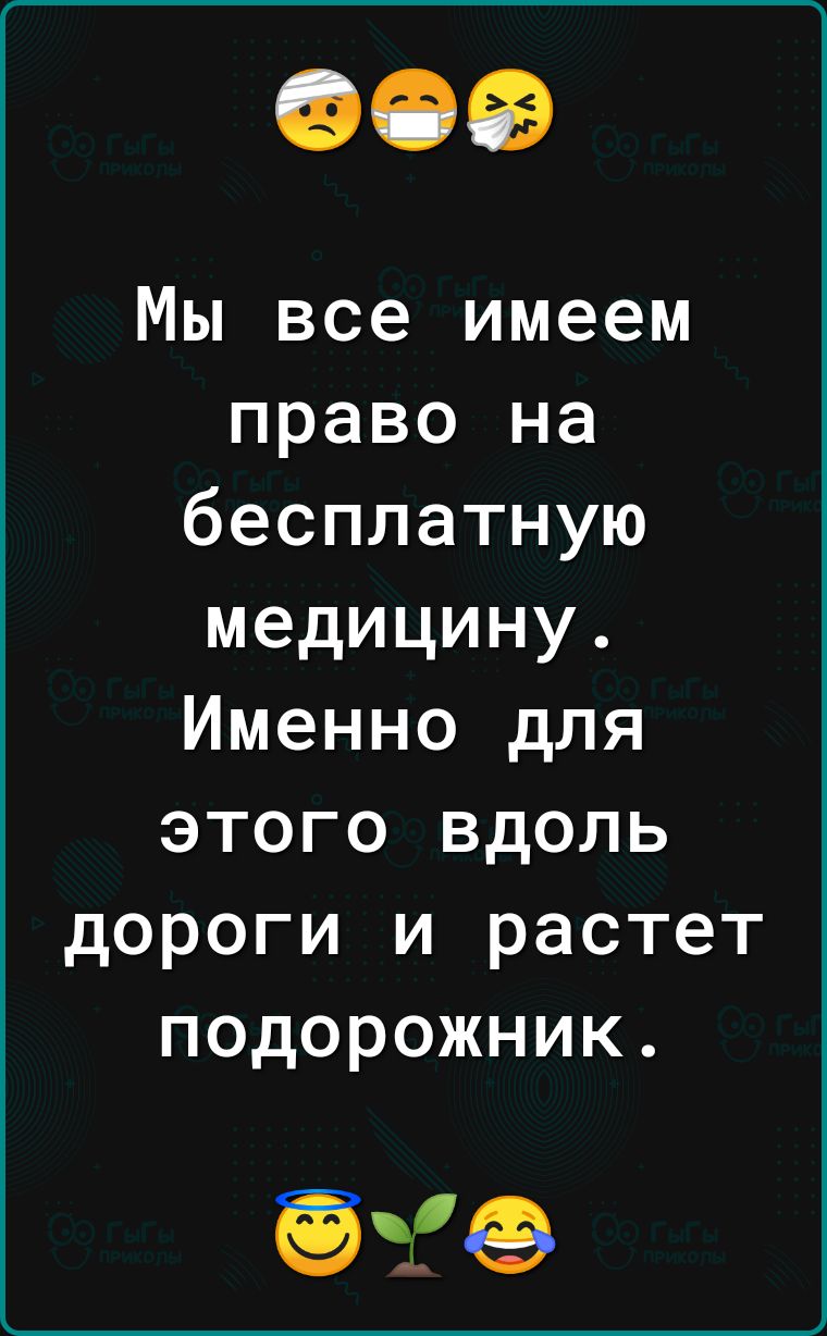 Мы все имеем право на бесплатную медицину Именно для этого вдоль дороги и растет подорожник без