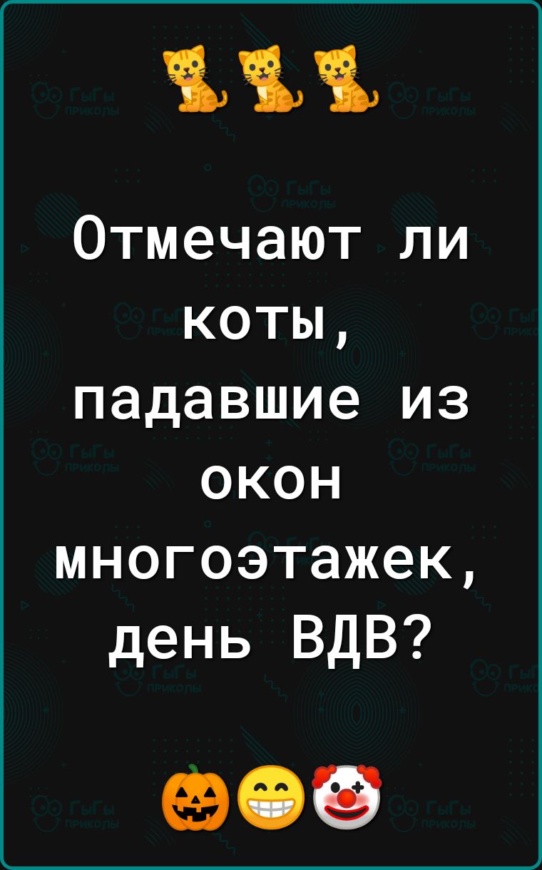 Отмечают ли коты падавшие из окон многоэтажек день ВДВ 09