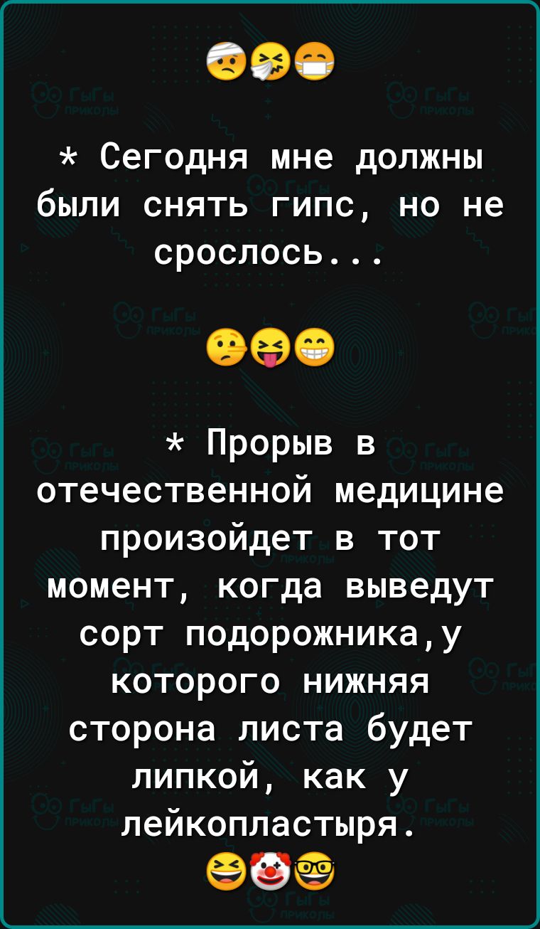 Сегодня мне должны были снять гипс но не срослось 090 Прорыв в отечественной медицине произойдет в тот момент когда выведут сорт подорожникау которого нижняя сторона листа будет липкой как у лейкопластыря