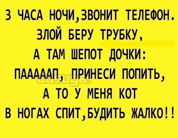ЗЩМ шт АБМ ЦПДММ АПУ вшжттп