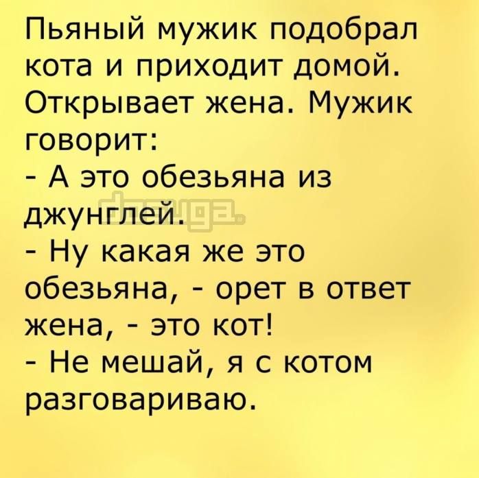 Пьяный мужик подобрал кота и приходит домой Открывает жена Мужик говорит А это обезьяна из джунглей Ну какая же это обезьяна орет в ответ жена это кот Не мешай я с котом разговариваю