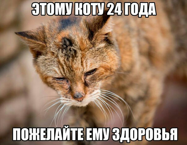 тампон 24 годд хі г _ ПШНЕПДЙТЕ ЕМУ ЗДШПВЬЯ