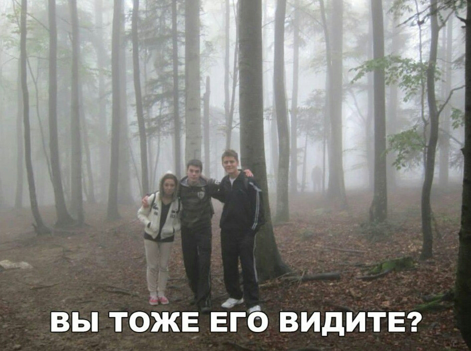 а __ вы тожЕ его видитвг