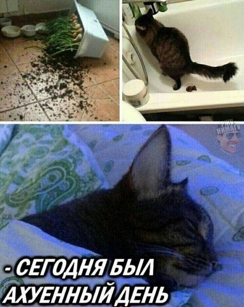 мтв і 3 СЕГОДНЯ БЫЛ АХУЕННЫИ ДЕНЬ