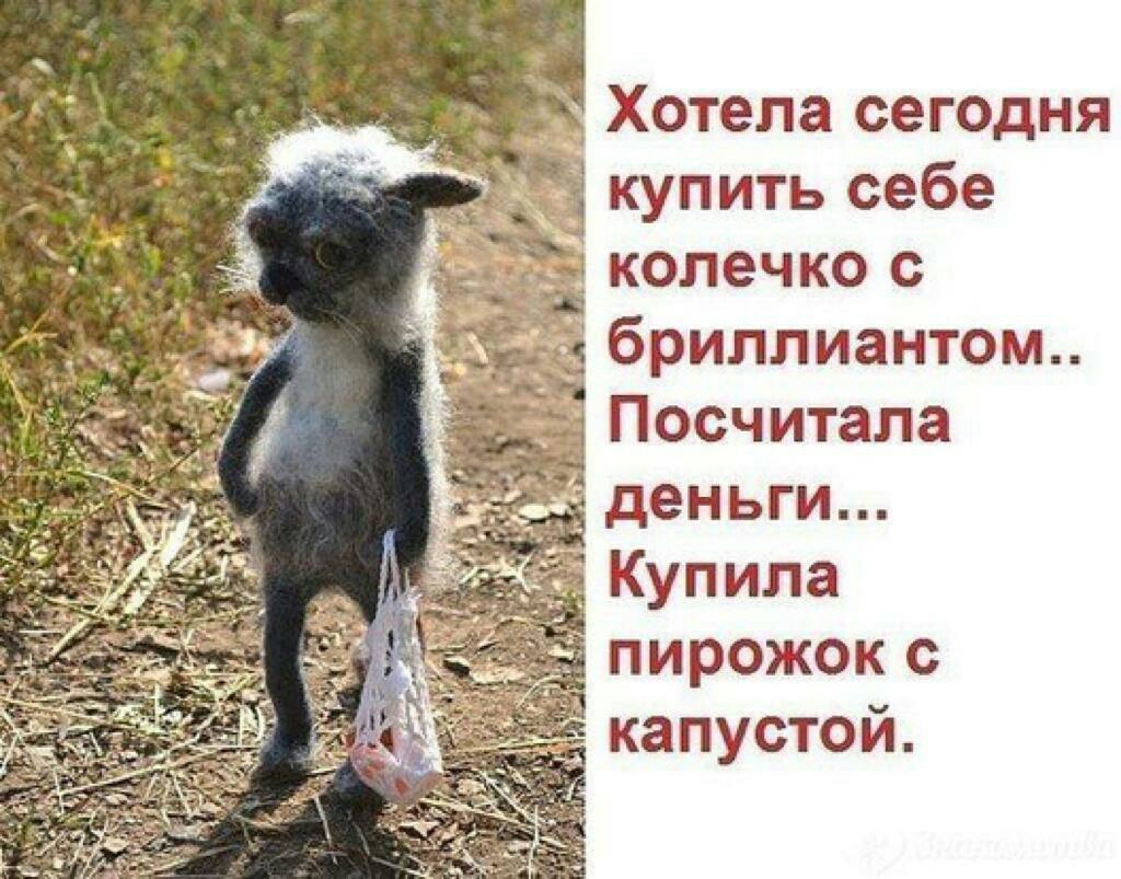 Хотела сегодня купить себе колечко с Ёбриллиантом Посчитала деньги Купила пирожок с капустой